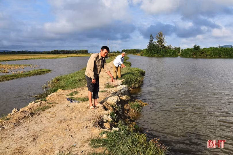 Cần sớm nâng cấp tuyến đê “36 năm tuổi” ở Lộc Hà