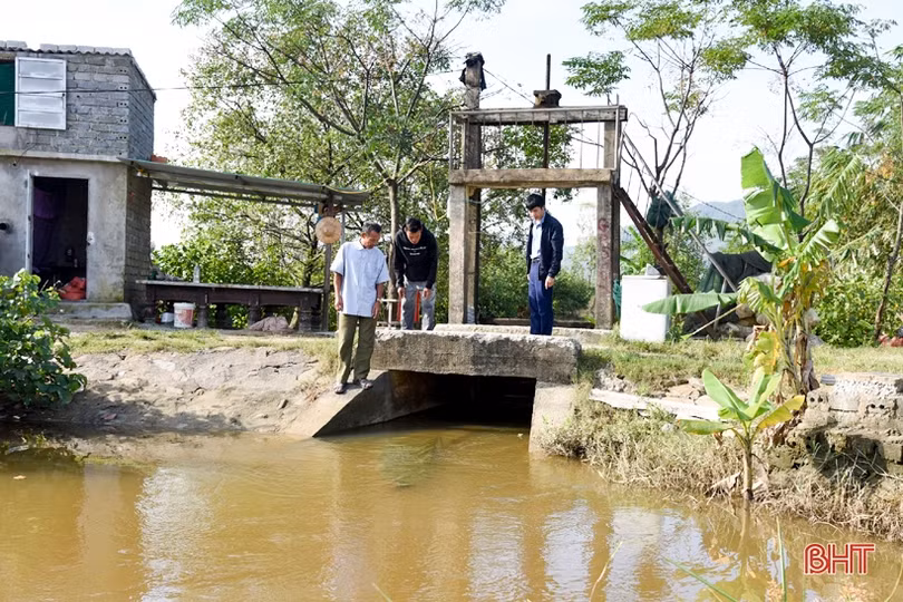 Thu nhập cao từ sản xuất lúa hữu cơ kết hợp nuôi rươi, nông dân huyện Kỳ Anh phấn khởi mở rộng diện tích
