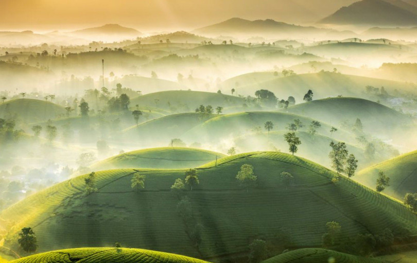 Lạc bước chốn tiên cảnh tuyệt đẹp tại đồi chè Long Cốc
