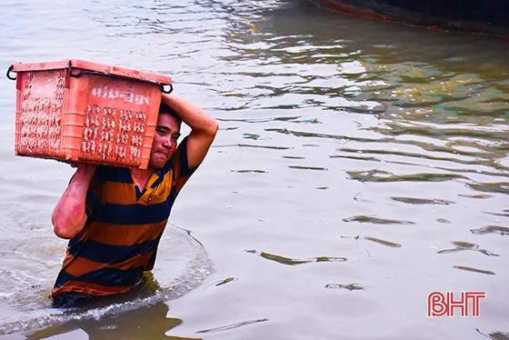 Ruốc biển, mùa “lộc” của ngư dân Cửa Nhượng