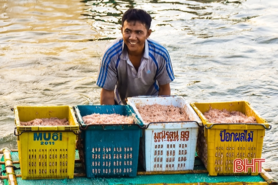 Ruốc biển, mùa “lộc” của ngư dân Cửa Nhượng