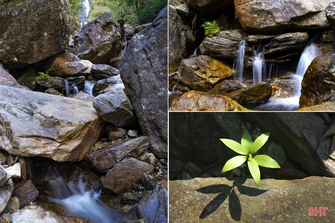 Đánh thức “nàng công chúa” Vũ Môn giữa đại ngàn Hà Tĩnh