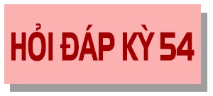 Các công việc mà Tổ bầu cử cần thực hiện trước, trong ngày bầu cử là gì? ảnh 4 Các công việc mà Tổ bầu cử cần thực hiện trước, trong ngày bầu cử là gì?
