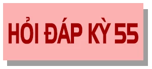 Các công việc mà Tổ bầu cử cần thực hiện trước, trong ngày bầu cử là gì? ảnh 5 Các công việc mà Tổ bầu cử cần thực hiện trước, trong ngày bầu cử là gì?