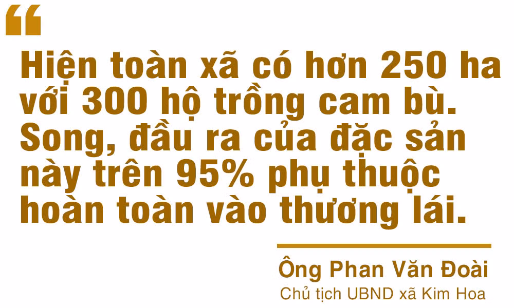 Khi cam bù, nhung hươu Hà Tĩnh vẫn quẩn quanh trên “sân nhà”!