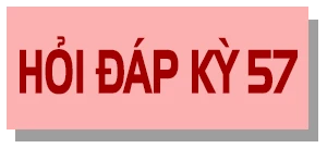 Các công việc mà Tổ bầu cử cần thực hiện trước, trong ngày bầu cử là gì? ảnh 6 Các công việc mà Tổ bầu cử cần thực hiện trước, trong ngày bầu cử là gì?