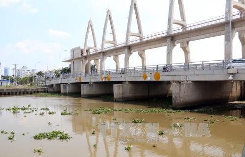 nam nay han man khong khoc liet nhu nam ngoai