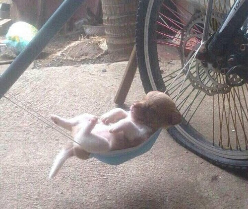 10 anh hai hot nhat facebook trong ngay