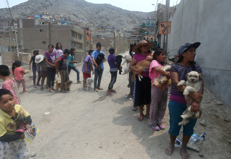 peru chim trong bun sau lu va lo dat lich su