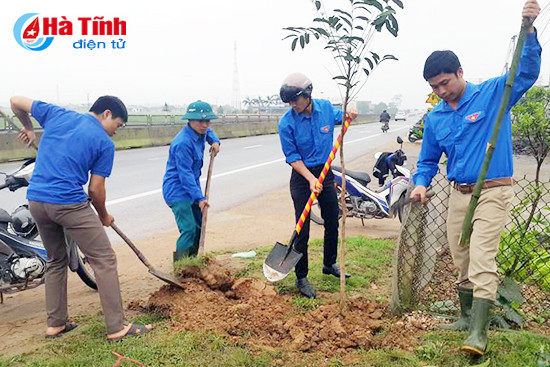 ky anh trong 600 cay xa cu hai ben ql 1a