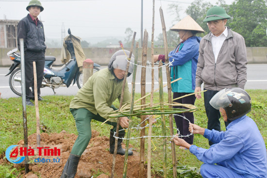 ky anh trong 600 cay xa cu hai ben ql 1a