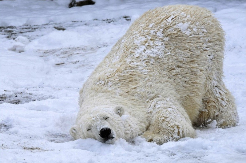 top anh tuan nuoc my dong bang pharaoh troi day