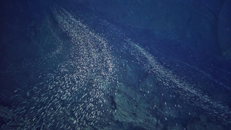 hang son doong qua lang kinh dao dien jordan vogt roberts