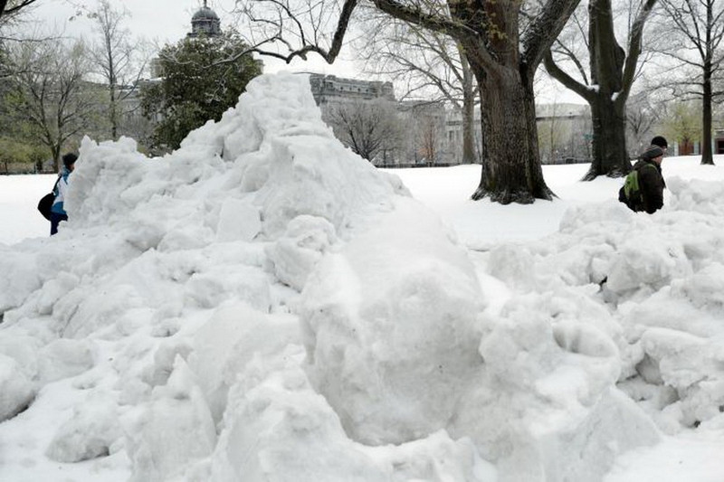 chum anh bao tuyet tan cong bo dong my
