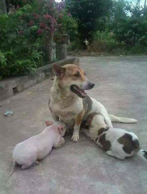 10 anh hai hot nhat facebook trong ngay