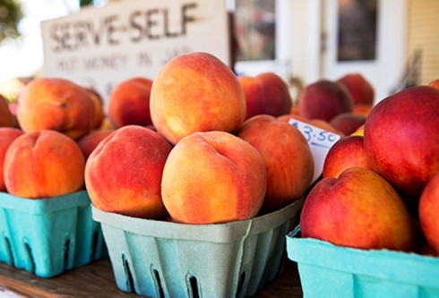 cách chọn và bảo quản các loại trái cây ngon bạn nên biết hình 10 Cách chọn và bảo quản các loại trái cây ngon bạn nên biết