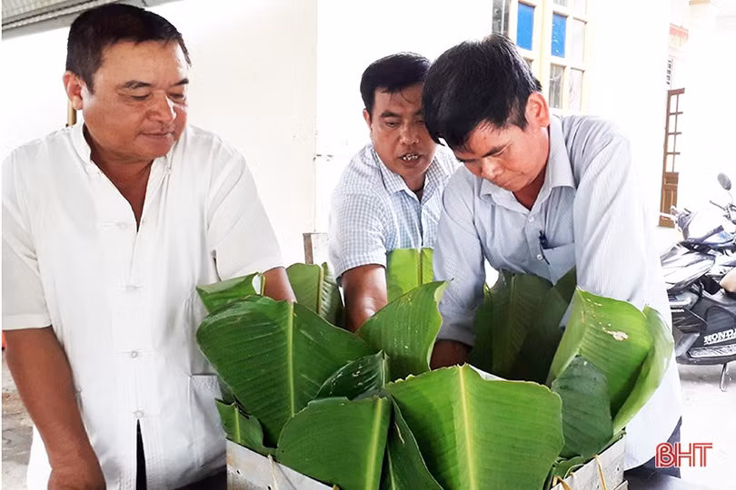 Hà Tĩnh sẵn sàng đón đồng bào về dự Đại lễ Giỗ Quốc Tổ Hùng Vương năm 2019