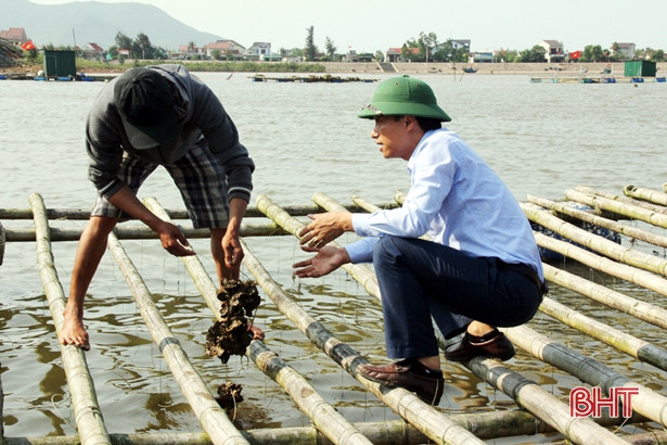 Thị xã Kỳ Anh có 362 mô hình kinh tế thu nhập từ 100 triệu đến 1 tỷ đồng/năm