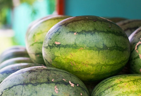 cách chọn và bảo quản các loại trái cây ngon bạn nên biết hình 13 Cách chọn và bảo quản các loại trái cây ngon bạn nên biết