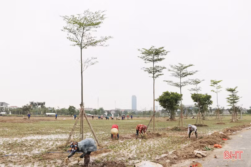 Thành phố Hà Tĩnh không chỉ hiện đại mà càng phải xanh hơn