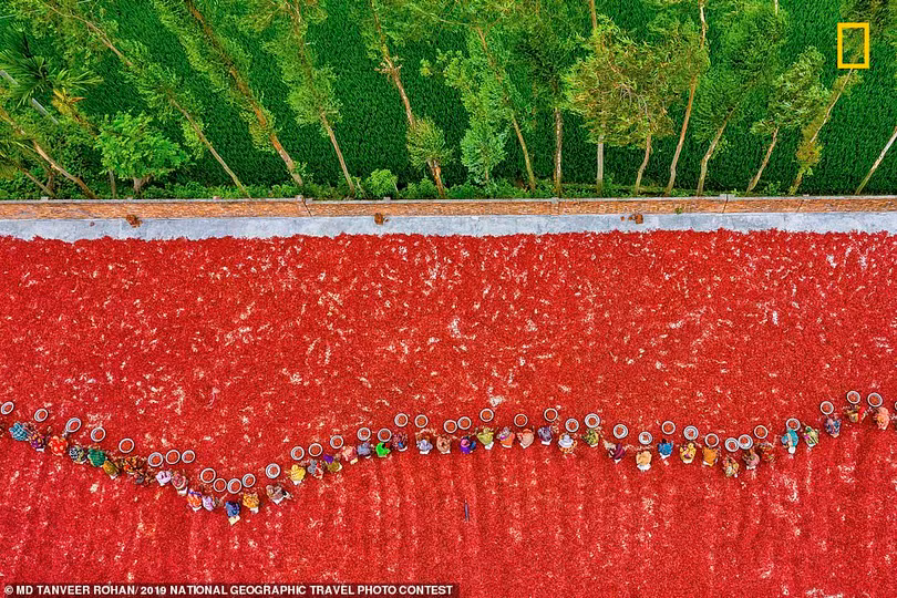 Mê mẩn những bức ảnh tuyệt đẹp dự thi Ảnh du lịch National Geographic 2019