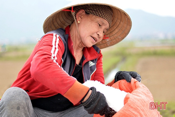 Diêm dân “vựa muối” thị xã Kỳ Anh hối hả vào vụ hè thu