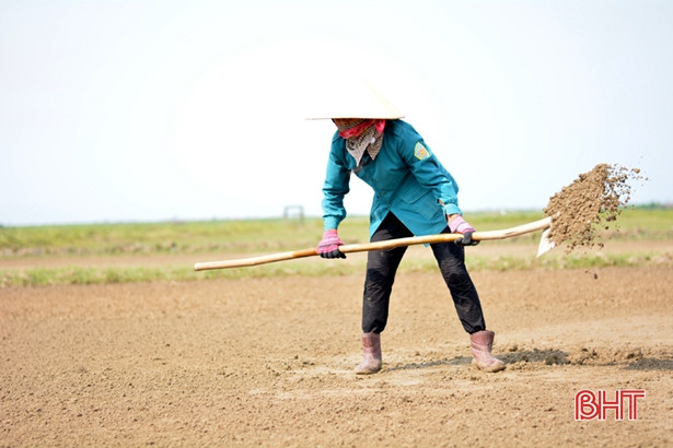 Diêm dân “vựa muối” thị xã Kỳ Anh hối hả vào vụ hè thu