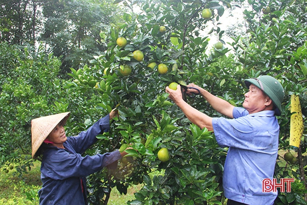 Giảm hộ nghèo và cận nghèo, tỷ lệ bao phủ BHYT ở Hương Khê “tụt dốc”