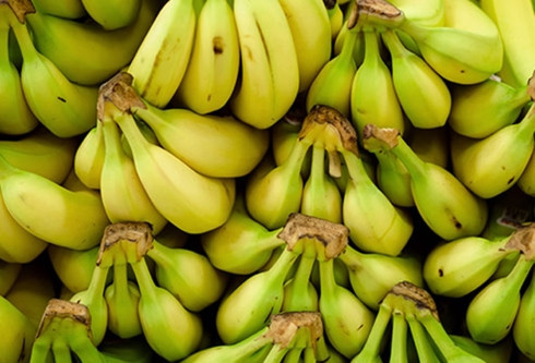 cách chọn và bảo quản các loại trái cây ngon bạn nên biết hình 5 Cách chọn và bảo quản các loại trái cây ngon bạn nên biết