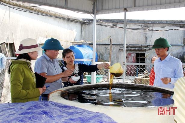 Thị xã Kỳ Anh có 362 mô hình kinh tế thu nhập từ 100 triệu đến 1 tỷ đồng/năm