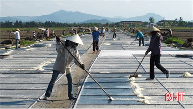 Diêm dân “vựa muối” thị xã Kỳ Anh hối hả vào vụ hè thu