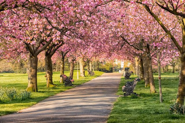 Vì sao London là thành phố được yêu thích nhất năm 2019?