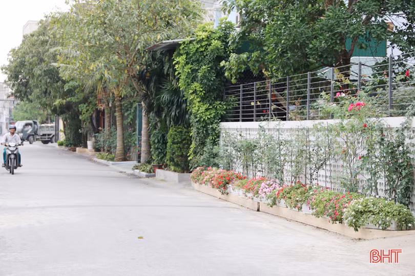 Thành phố Hà Tĩnh không chỉ hiện đại mà càng phải xanh hơn