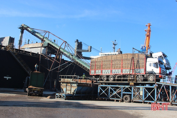 Công ty CP Cảng quốc tế Lào - Việt: 3 tháng doanh thu đạt gần 48 tỷ đồng