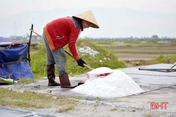 Diêm dân “vựa muối” thị xã Kỳ Anh hối hả vào vụ hè thu