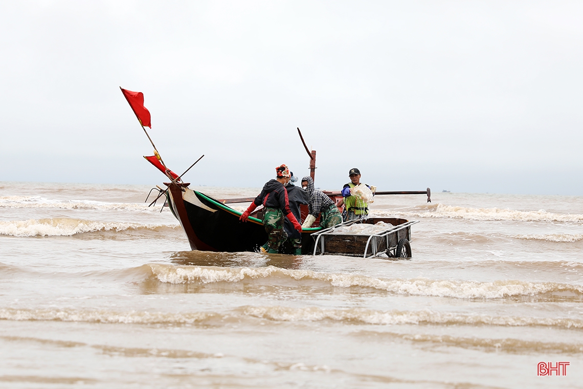 Vào mùa sứa biển, ngư dân Kỳ Ninh tranh thủ hái lộc”!