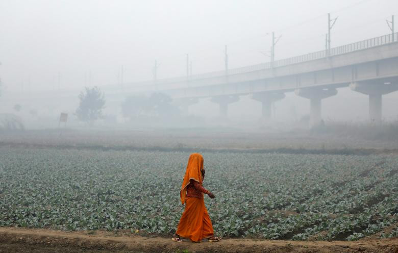 photo khoi mu doc hai bua vay thu do new delhi an do