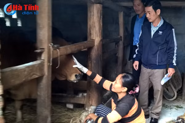 bung phat dich lmlm o duc tho nguoi dan lo la chu quan