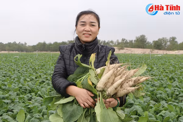 nong dan bai ngang ha tinh boi thu san pham vu dong