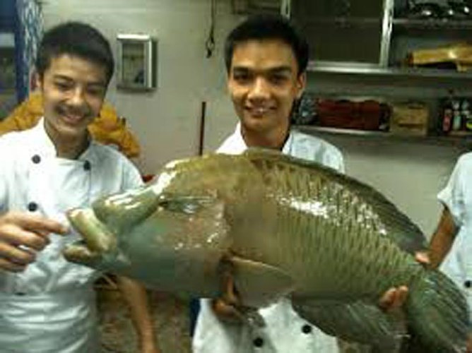 ngam vua hai san co gia cao ngat nguong