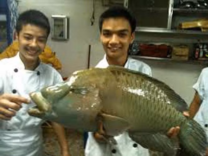 ngam vua hai san co gia cao ngat nguong