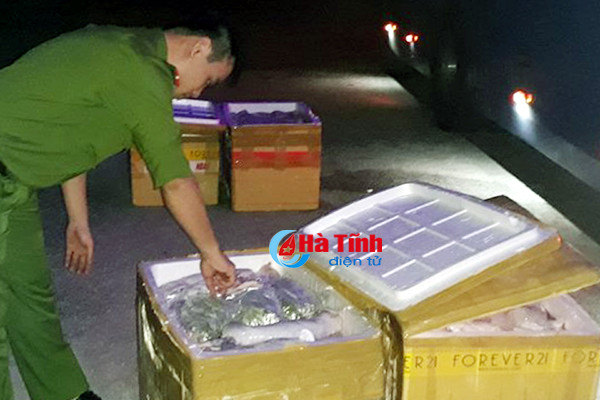 xich xe khach cho hon tan thit meo dong lanh khong ro nguon goc