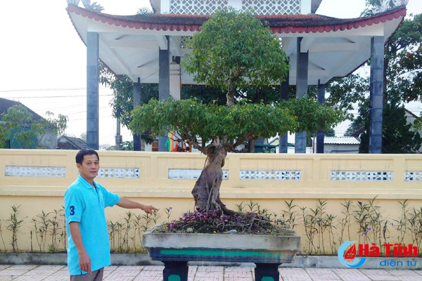 dan hien cay canh quy lam dep tru so xa hoi quan thon