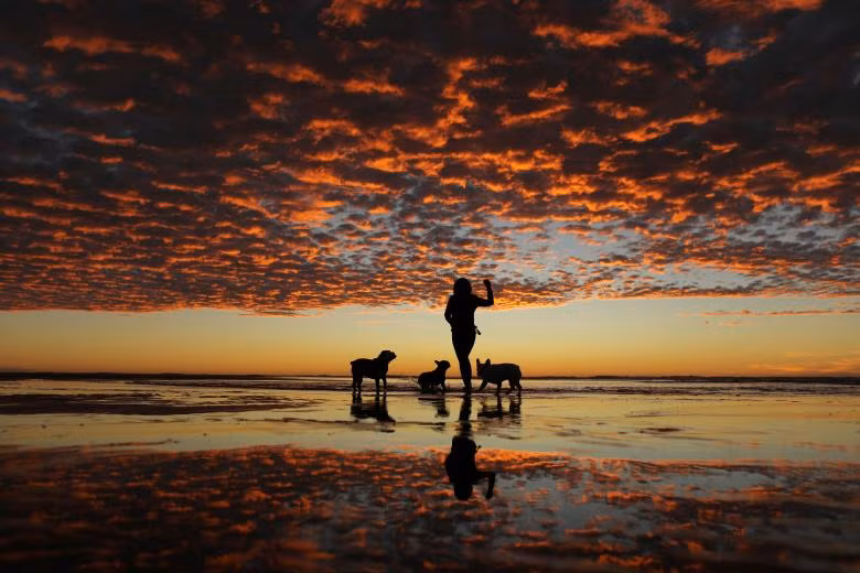 mat na danh lua iphone x cua bkav lot top anh tuan cua reuters