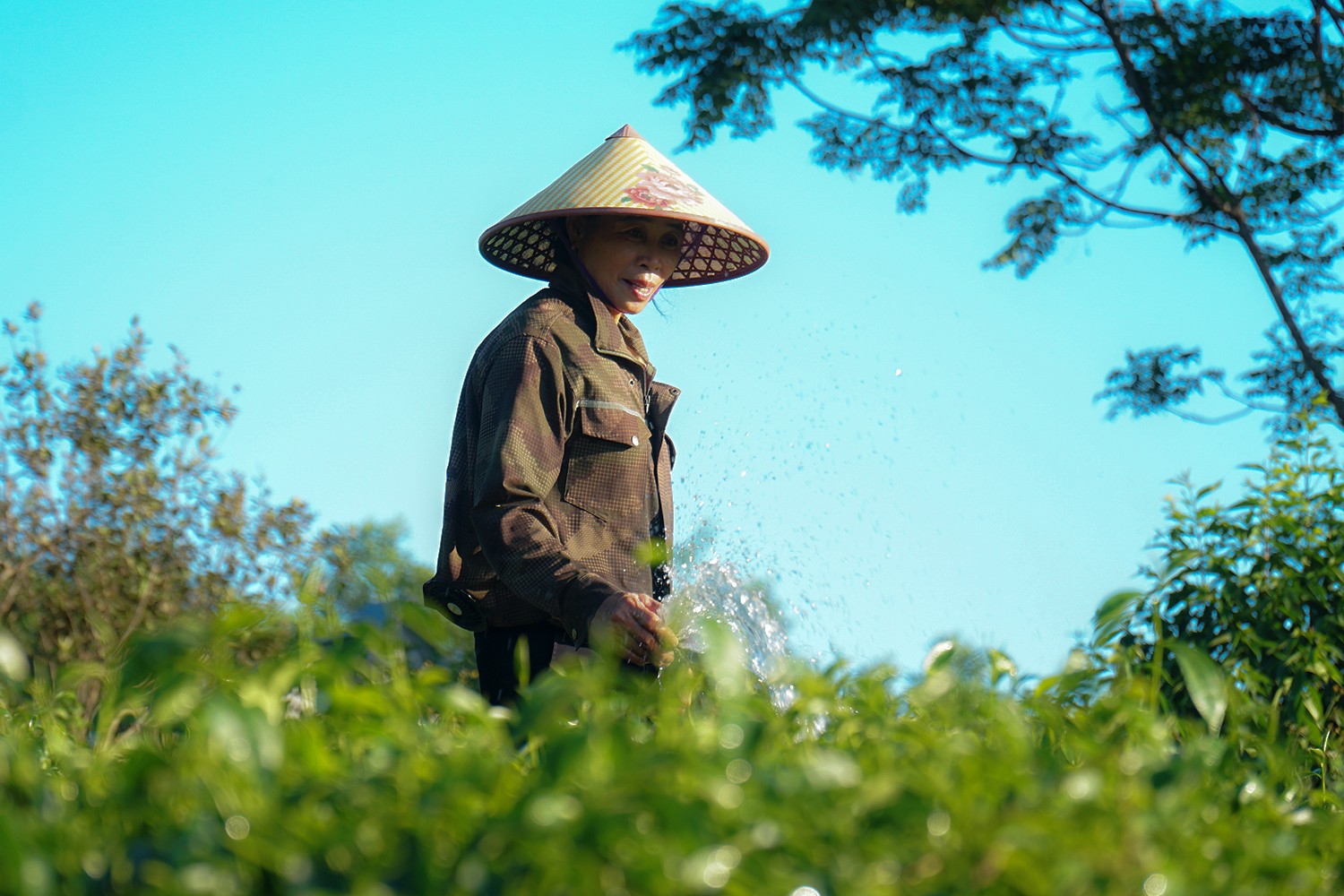 tuoi-nuoc-giu-am-sau-khi-phu-rom.jpg