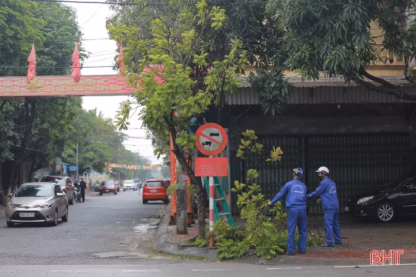 Cắt tỉa cây xanh che lấp biển báo giao thông sau phản ánh của Báo Hà Tĩnh