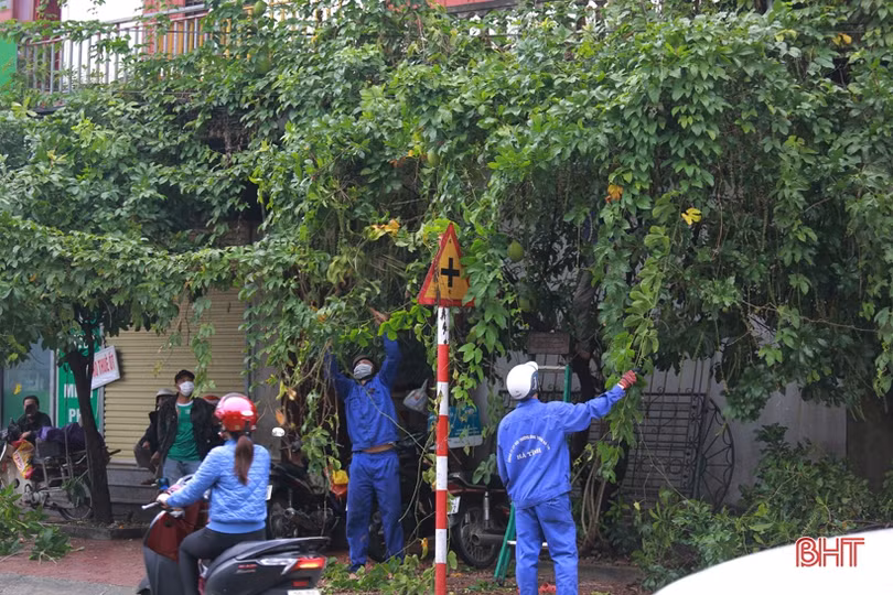 Cắt tỉa cây xanh che lấp biển báo giao thông sau phản ánh của Báo Hà Tĩnh