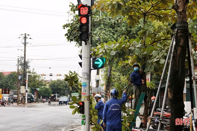 Cắt tỉa cây xanh che lấp biển báo giao thông sau phản ánh của Báo Hà Tĩnh