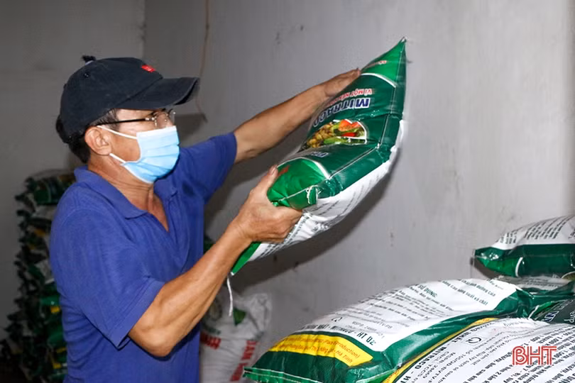 Kiểm soát chặt chẽ nguồn giống để vụ đông ở Hà Tĩnh giành thắng lợi