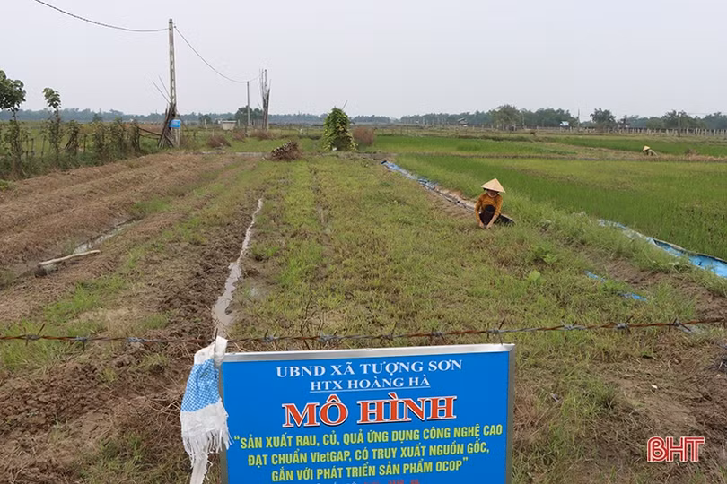 Nông dân Hà Tĩnh tất bật ra đồng sản xuất vụ đông